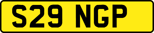 S29NGP
