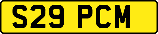 S29PCM