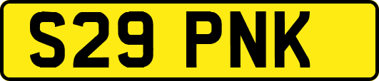 S29PNK