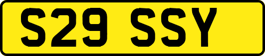 S29SSY