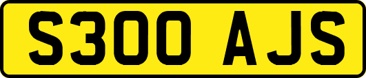 S300AJS
