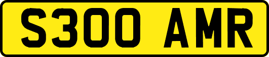 S300AMR