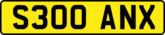 S300ANX