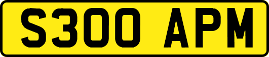 S300APM