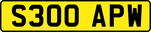 S300APW