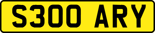 S300ARY