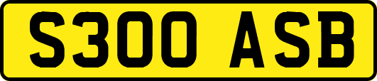 S300ASB