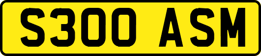 S300ASM