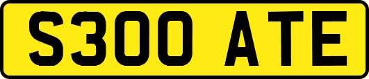 S300ATE