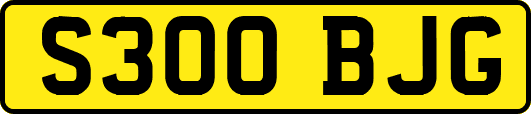S300BJG