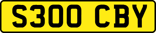 S300CBY