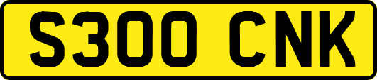 S300CNK