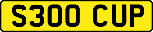 S300CUP