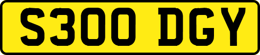 S300DGY