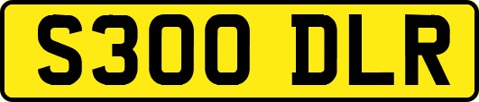 S300DLR