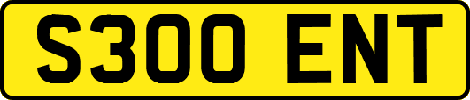 S300ENT