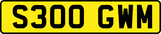 S300GWM