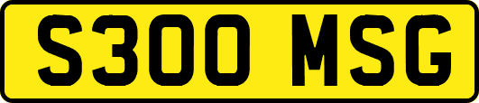 S300MSG