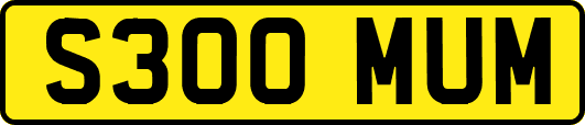 S300MUM