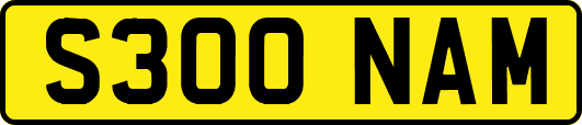 S300NAM