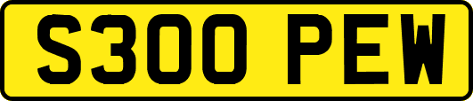 S300PEW