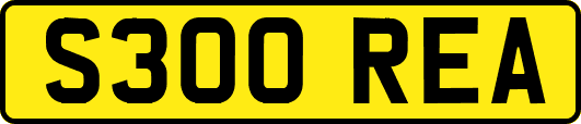 S300REA