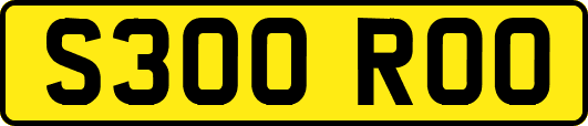 S300ROO