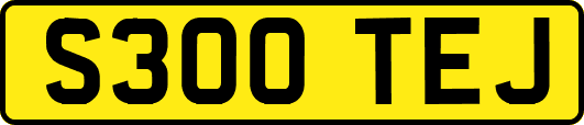 S300TEJ