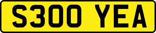 S300YEA