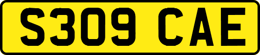 S309CAE