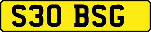 S30BSG