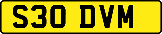 S30DVM