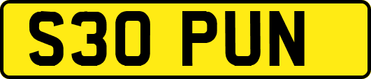 S30PUN