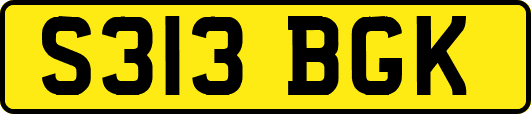 S313BGK
