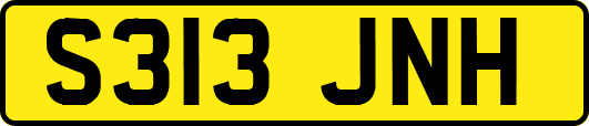 S313JNH