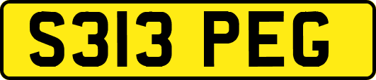 S313PEG