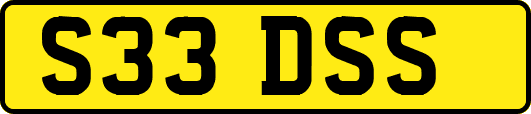 S33DSS