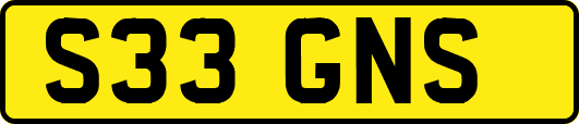 S33GNS