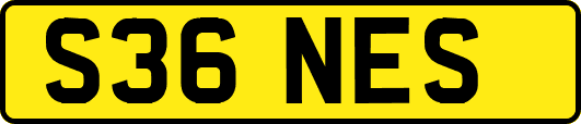 S36NES