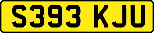 S393KJU