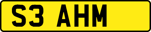 S3AHM