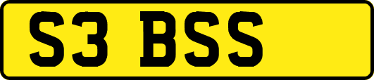 S3BSS