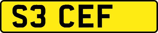 S3CEF