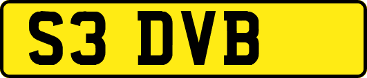 S3DVB