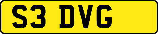 S3DVG