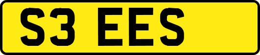 S3EES