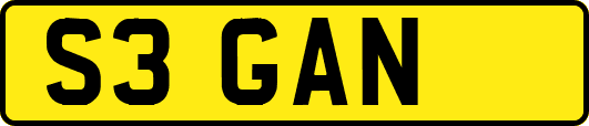 S3GAN
