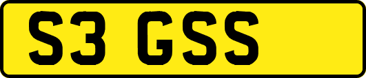 S3GSS