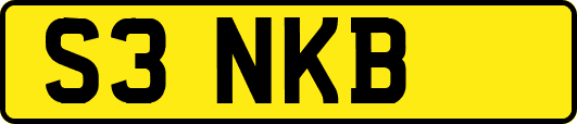 S3NKB