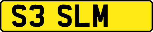 S3SLM